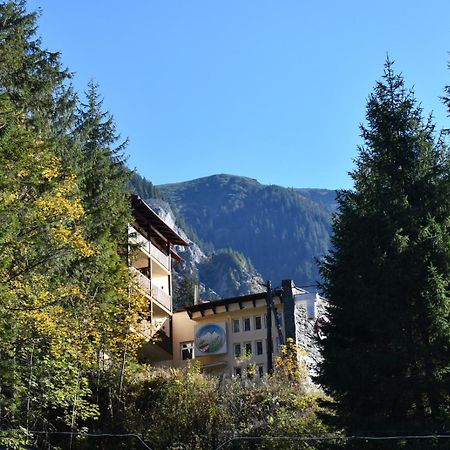 Balea Teleferic Hotel Cîrţişoara Buitenkant foto