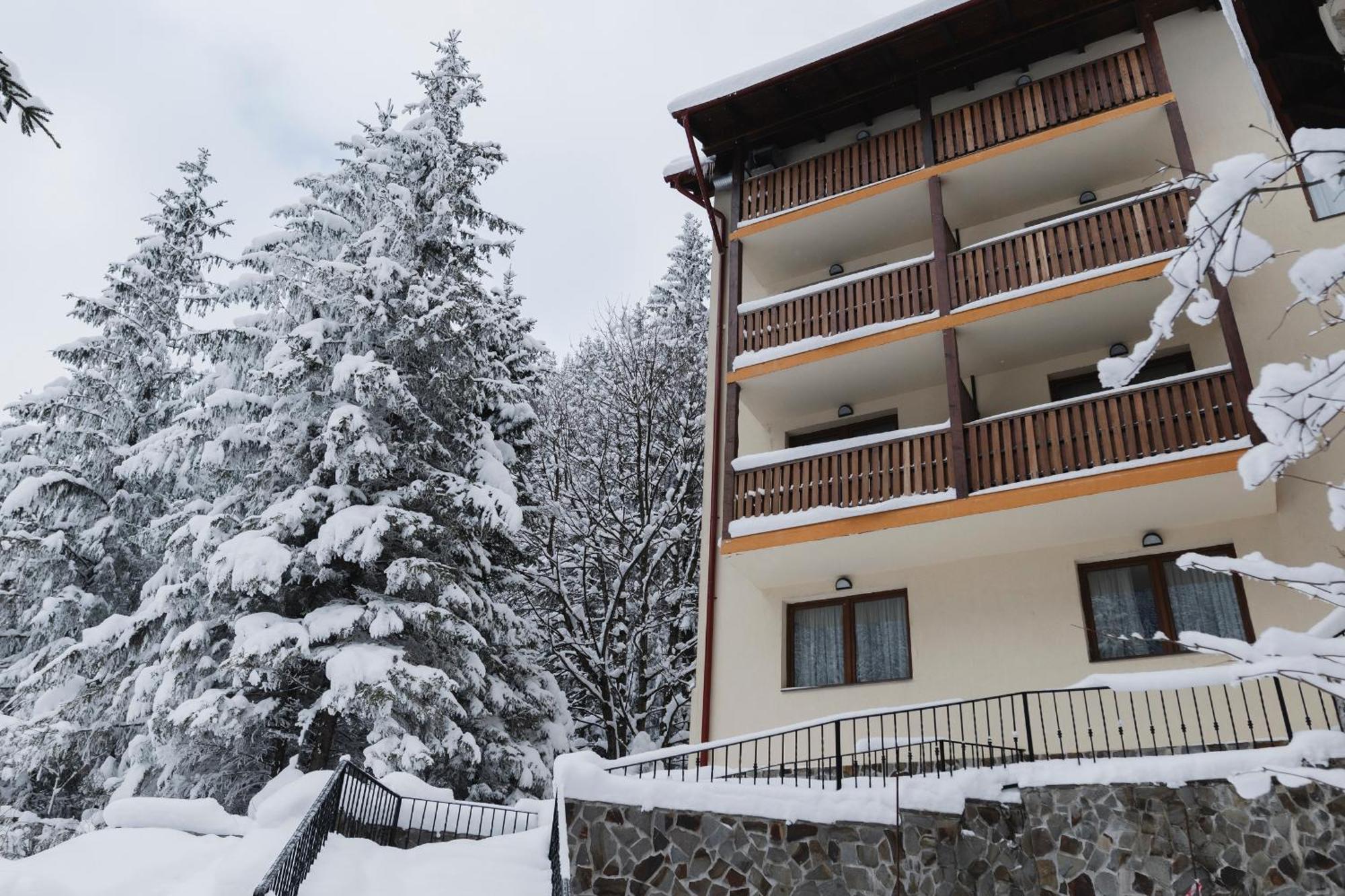 Balea Teleferic Hotel Cîrţişoara Buitenkant foto